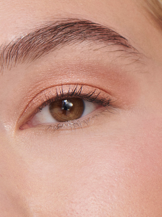 Liquid Powder Eye Tint