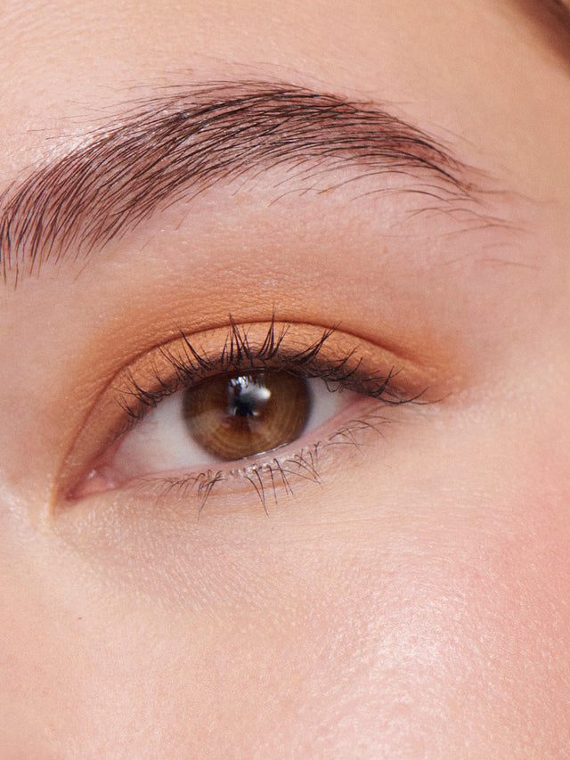 Liquid Powder Eye Tint