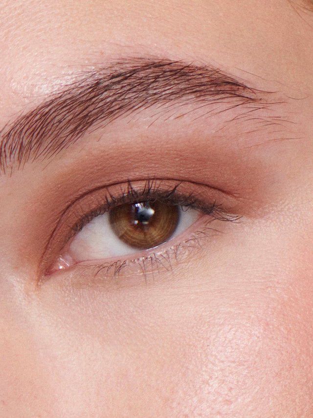 Liquid Powder Eye Tint