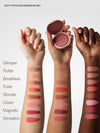 The Complexion + Color Set
