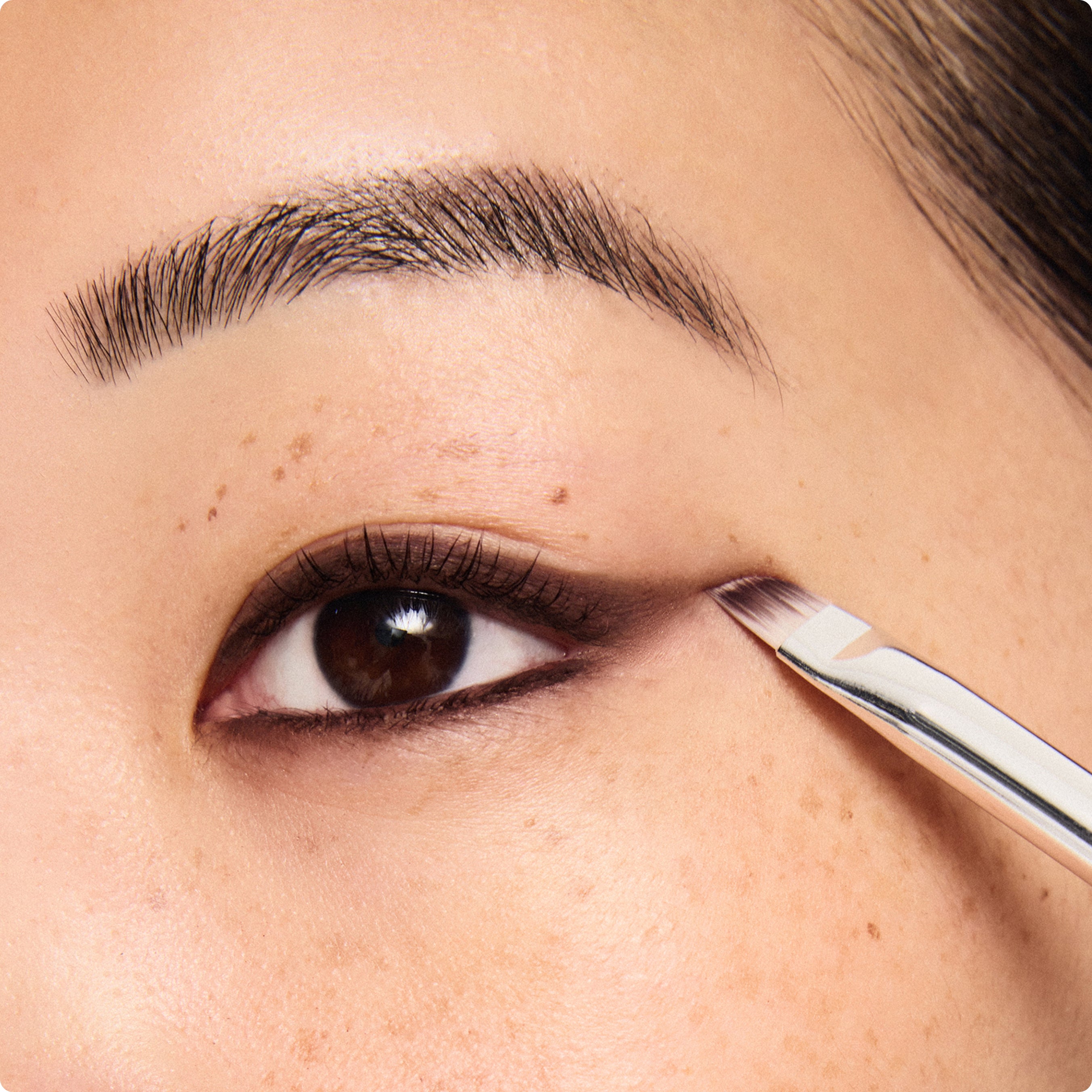 Angled Line + Smudge Brush | Eyeliner Brush | ILIA Beauty