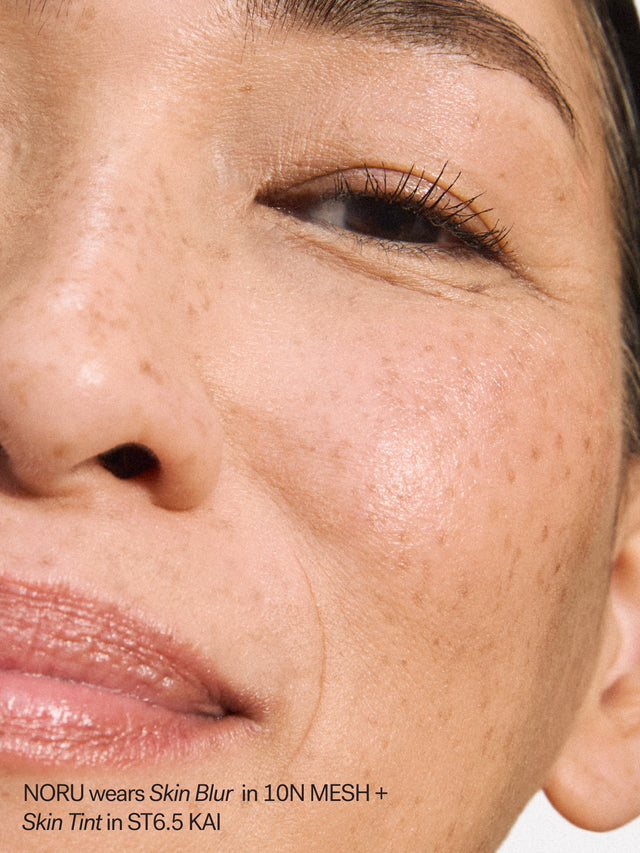 The Skin Tint + Blur Complexion Duo