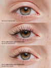 The Limitless Lash Duo